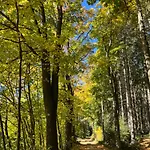Апартаменты Bergwiese Gruenhain-Beierfeld