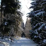 Bergwiese Апартаменты