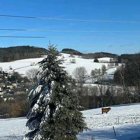 Bergwiese * Beierfeld