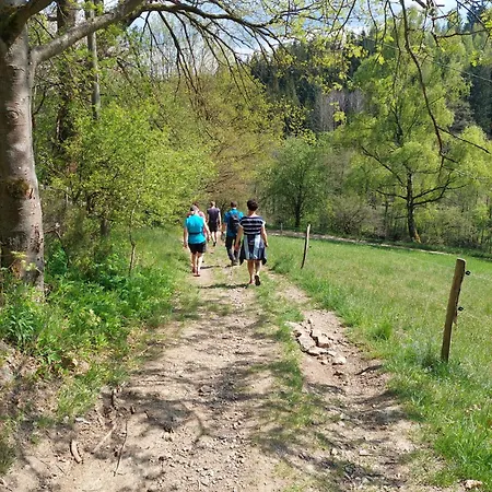 Bergwiese Beierfeld